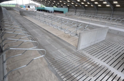 Netherlands Steel Structure Dairy Farm(图1)