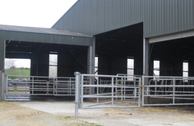 Netherlands Steel Structure Dairy Farm