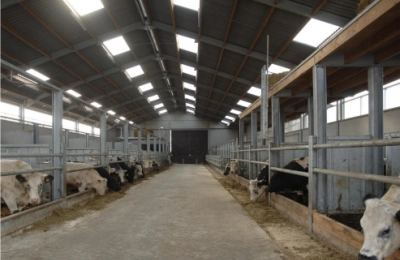 Netherlands Steel Structure Dairy Farm(图3)