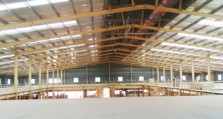 Pre-engineered buildings-Areca New Facroty(图2) Pre-engineered buildings-Areca New Facroty(图2)