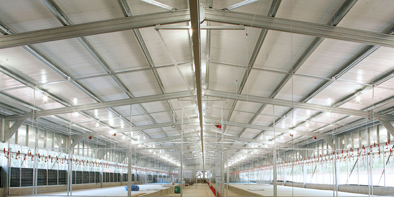 Steel Structure Poultry House