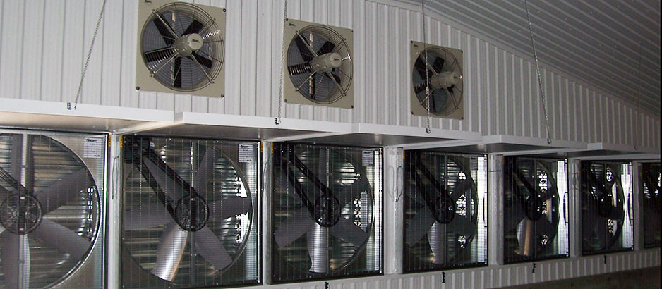 Steel Structure Poultry House(图3) Steel Structure Poultry House(图3)