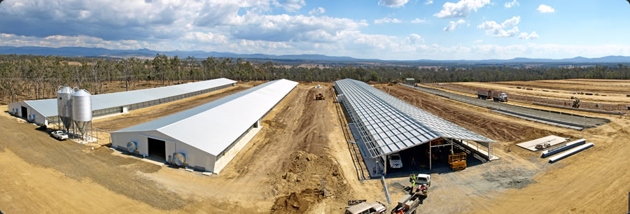 Steel Structure Poultry House(图4) Steel Structure Poultry House(图4)