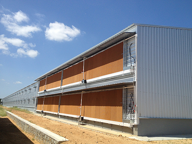 Steel Structure Poultry House(图5) Steel Structure Poultry House(图5)