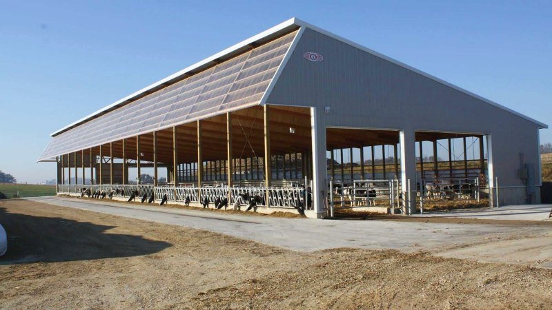 What Are the Advantages of Steel Structures in Agriculture?
