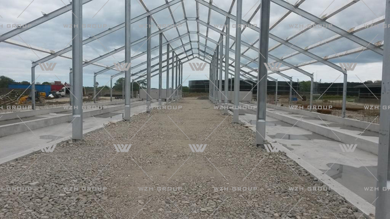 Steel Structure Dairy Cattle Farm(图1) Steel Structure Dairy Cattle Farm(图1)